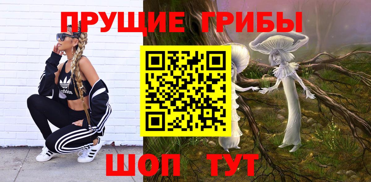 Псилоцибиновые грибы GOLDEN TEACHER  Вход с VPN  Галлюциногенные грибы Magic Shrooms  Кстово 