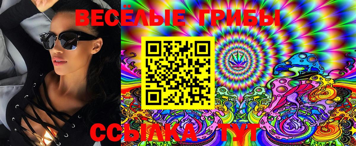 Псилоцибиновые грибы Psilocybine cubensis Кстово